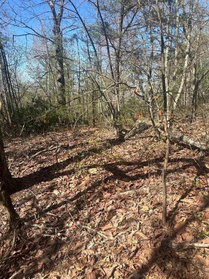 Lot 164 Bluff Lane featured image