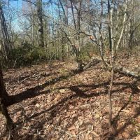 Lot 164 Bluff Lane