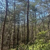 Lot 164 Bluff Lane images 3