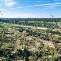ABQ Ranch images 4