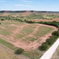 Auction 9 26 at 10am 1419 Acres Cropland Pasture Offered in tracts