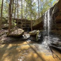 Waterfalls Timber and Relaxation images 2