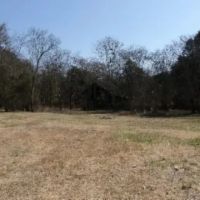 Needmore Rd images 4