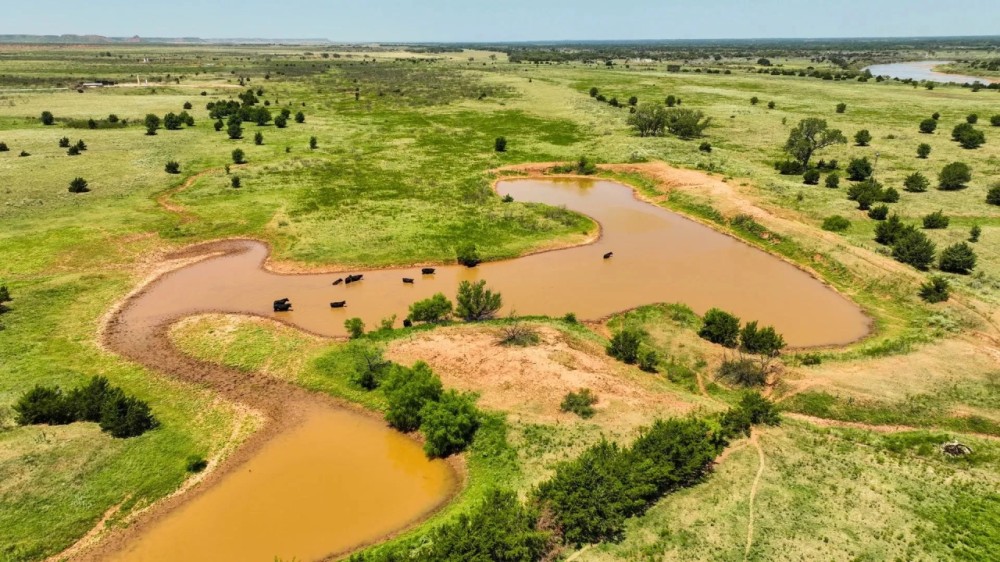 1606 Acres Pasture Timber Ponds More AUction 9 14 featured image