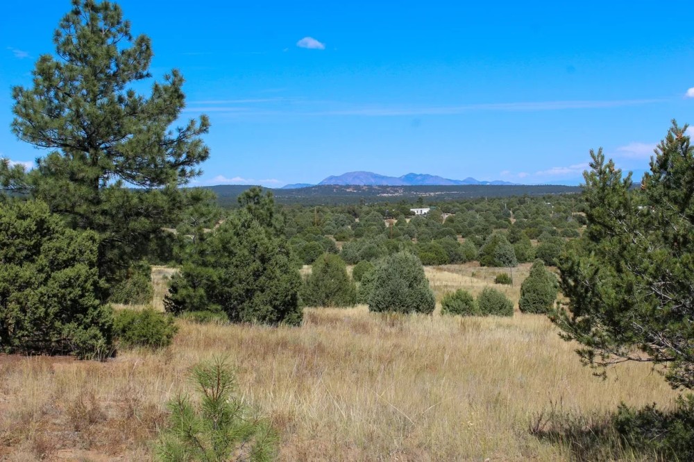 NM-337 Tijeras NM 80 acres featured image
