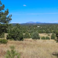 NM-337 Tijeras NM 80 acres
