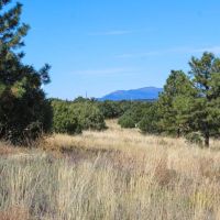 NM-337 Tijeras NM 80 acres images 4