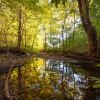 266.03 Acres in Williamson County Tennessee