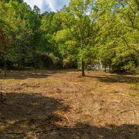 266.03 Acres in Williamson County Tennessee images 2