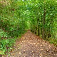266.03 Acres in Williamson County Tennessee images 3