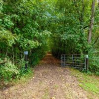 266.03 Acres in Williamson County Tennessee images 4