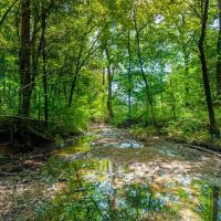 266.03 Acres in Williamson County Tennessee images 5