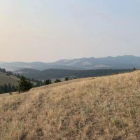 7100 Skelly Gulch Road images 2