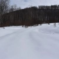 Morgan Hollow