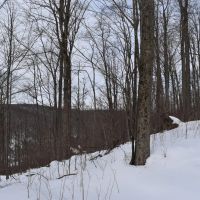 Morgan Hollow images 4