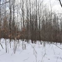Morgan Hollow images 5