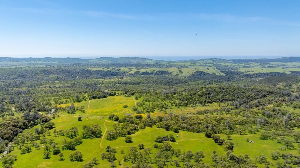 Walker Trail Ranch featured image