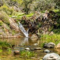 Walker Trail Ranch images 4