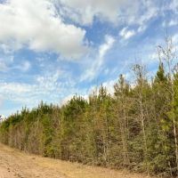 21 Acres T-1 FM 1746 images 3