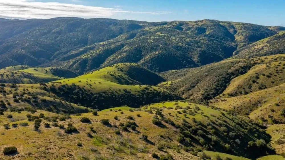 Freestar Hunting Properties featured image