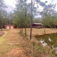 Twin Ponds Secluded Cabin on 39.45 acres