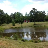 Twin Ponds Secluded Cabin on 39.45 acres images 2
