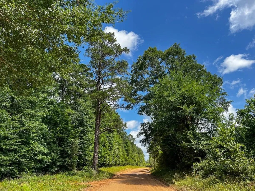 43 Acres T-7 Kelley Road featured image
