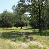 WILDWOOD RANCHES TRACT 2 images 4