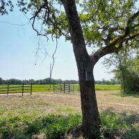 WILDWOOD RANCHES TRACT 2 images 5