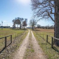 8612 FM 1616 images 5