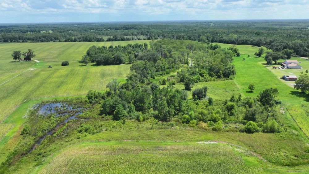 Graceville Duck Pond Farmland featured image