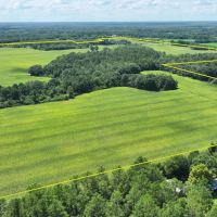 Graceville Duck Pond Farmland images 2