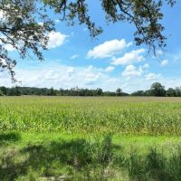 Graceville Duck Pond Farmland images 5