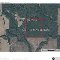 Jackson Parish Timber Tract 8 images 5