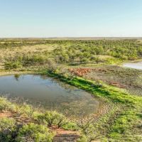 277 Acres in Baylor County