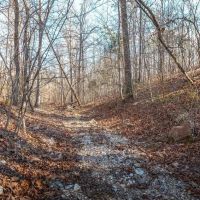Winona Pioneer Point images 5
