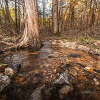 Peabody Creek 10