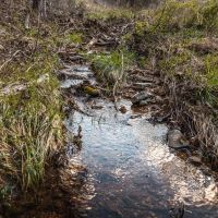 Peabody Creek 10 images 5