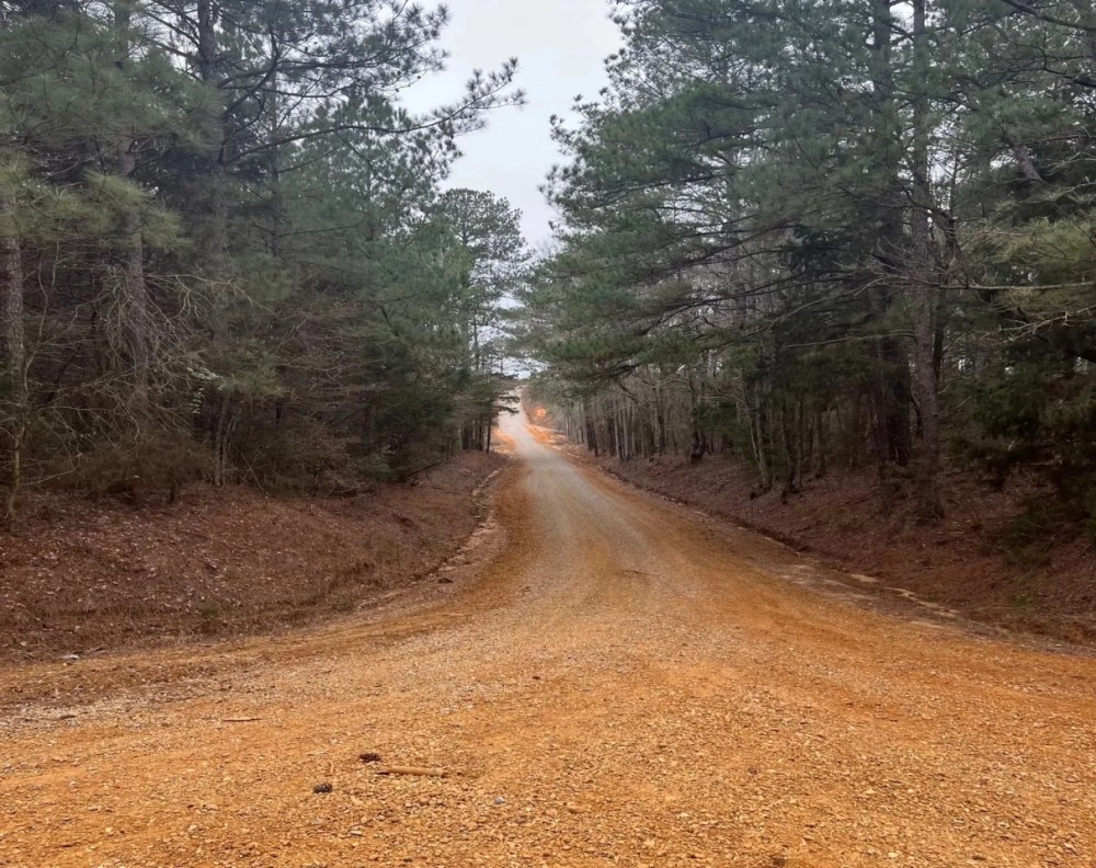 85.5 Acres in Neshoba County in Union MS featured image