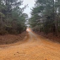 85.5 Acres in Neshoba County in Union MS