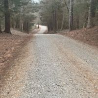 85.5 Acres in Neshoba County in Union MS images 3