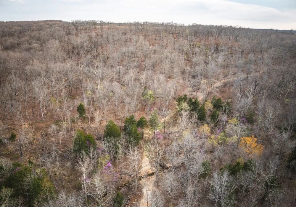 Mill Rock Creek 70 featured image