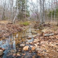 Mill Rock Creek 70 images 3