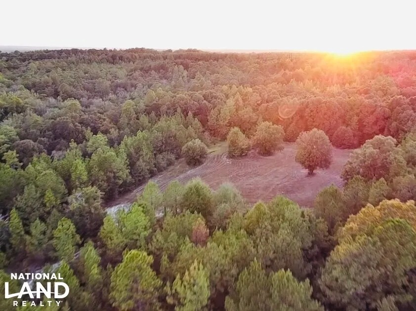 Beaver Creek - Camps Lake and Hunting Retreat featured image
