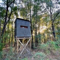 Beaver Creek - Camps Lake and Hunting Retreat images 5