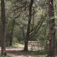 WILDWOOD RANCHES TRACT 1 images 2