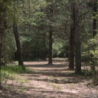 WILDWOOD RANCHES TRACT 1 images 3