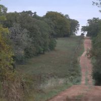 WILDWOOD RANCHES TRACT 1 images 5