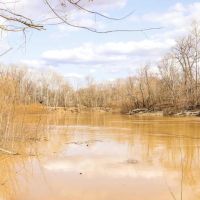 Land for Sale in Warren County MS images 2