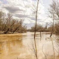 Land for Sale in Warren County MS images 5